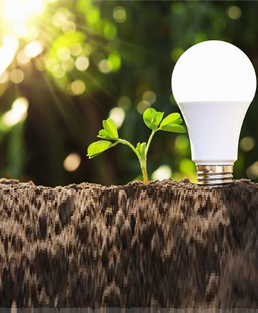 Septic System Services